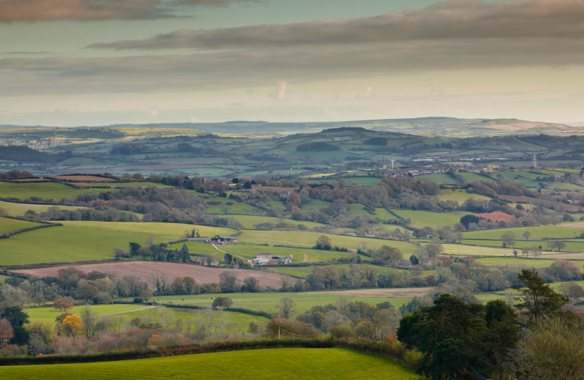 West Dorset 