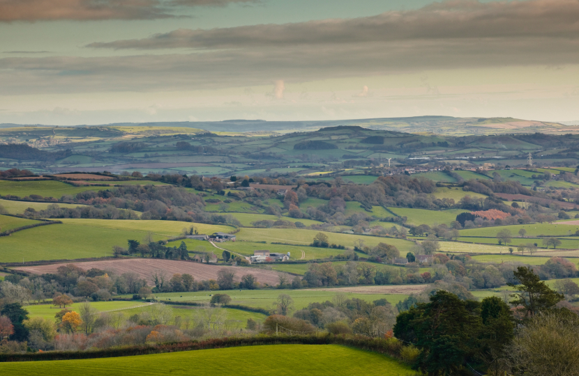 West Dorset 