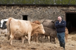 Chris Loder MP with cattle