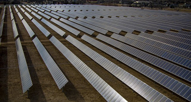 Solar farm